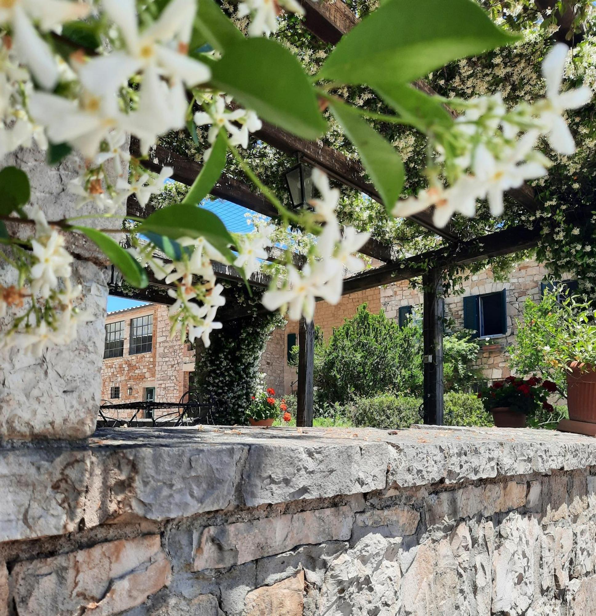 Agriturismo Tenuta Conti Faina Fratta Todina Eksteriør bilde